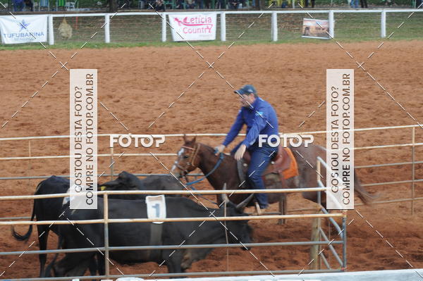 Buy your photos of the eventCAMPEONATO ACC TEAM PENNING SEGUNDA ETAPA on Fotop