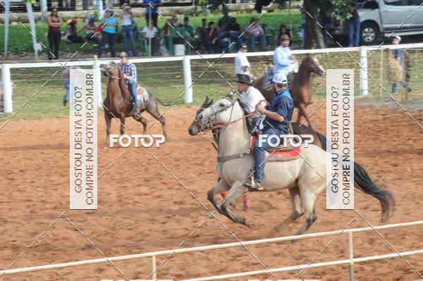 Buy your photos of the eventCAMPEONATO ACC TEAM PENNING SEGUNDA ETAPA on Fotop