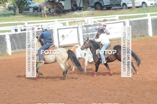 Buy your photos of the eventCAMPEONATO ACC TEAM PENNING SEGUNDA ETAPA on Fotop