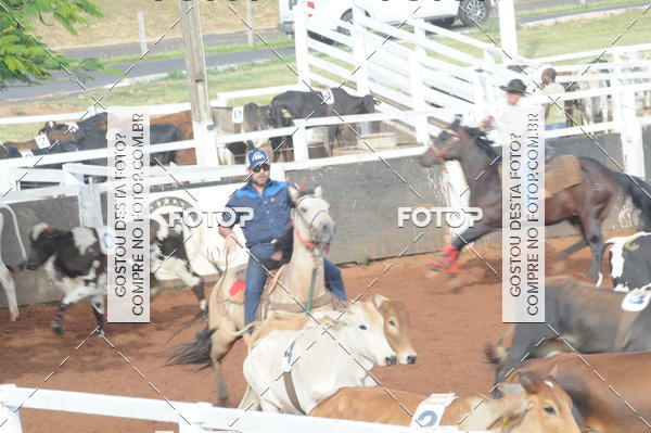 Buy your photos of the eventCAMPEONATO ACC TEAM PENNING SEGUNDA ETAPA on Fotop