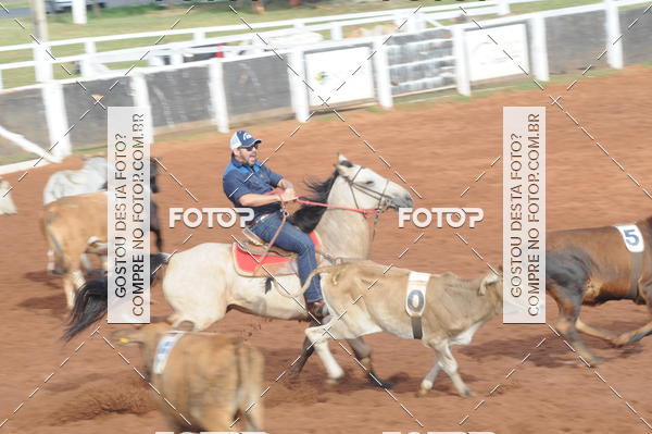 Buy your photos of the eventCAMPEONATO ACC TEAM PENNING SEGUNDA ETAPA on Fotop