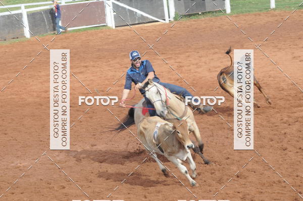 Buy your photos of the eventCAMPEONATO ACC TEAM PENNING SEGUNDA ETAPA on Fotop
