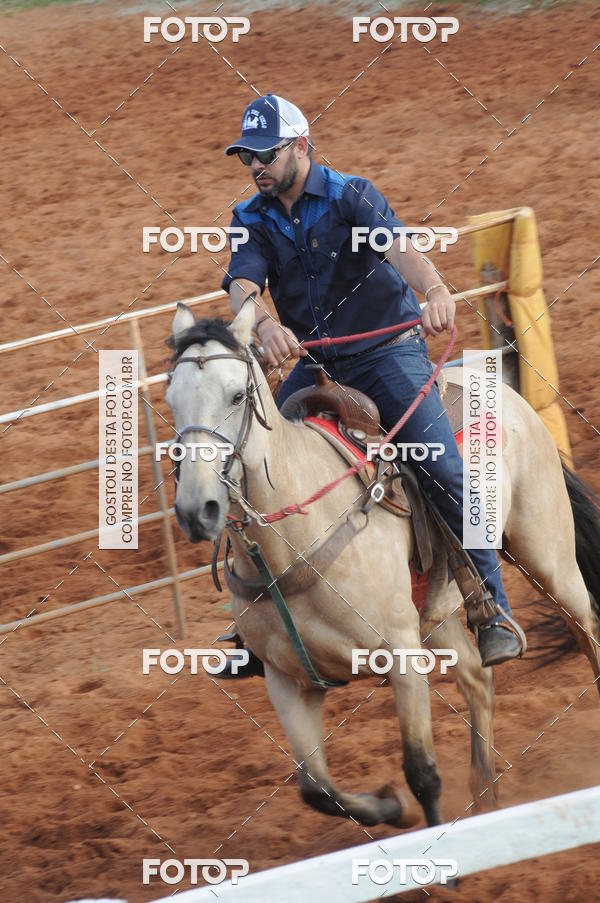 Buy your photos of the eventCAMPEONATO ACC TEAM PENNING SEGUNDA ETAPA on Fotop