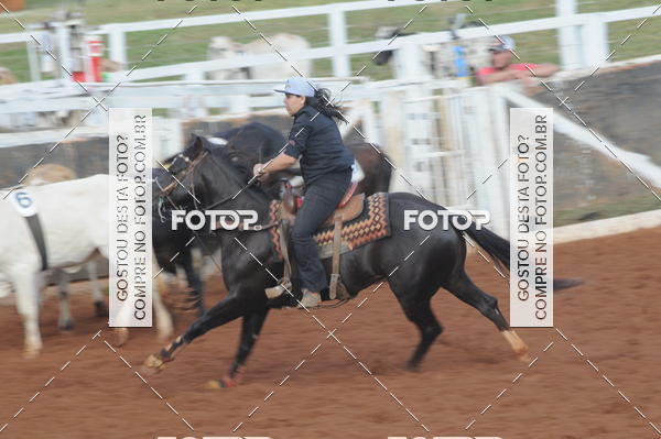 Buy your photos of the eventCAMPEONATO ACC TEAM PENNING SEGUNDA ETAPA on Fotop