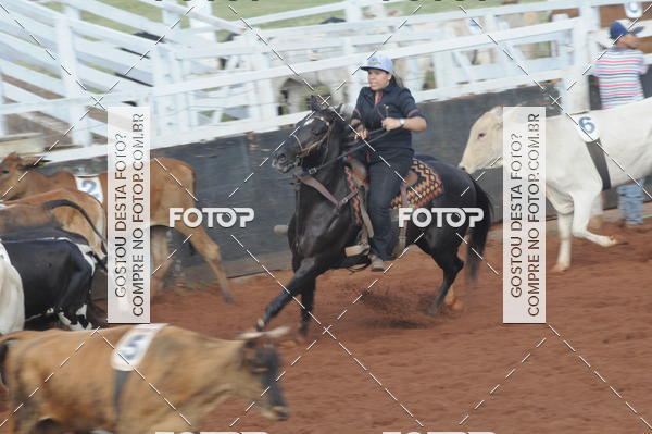 Buy your photos of the eventCAMPEONATO ACC TEAM PENNING SEGUNDA ETAPA on Fotop