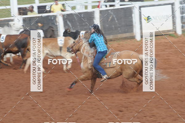 Buy your photos of the eventCAMPEONATO ACC TEAM PENNING SEGUNDA ETAPA on Fotop