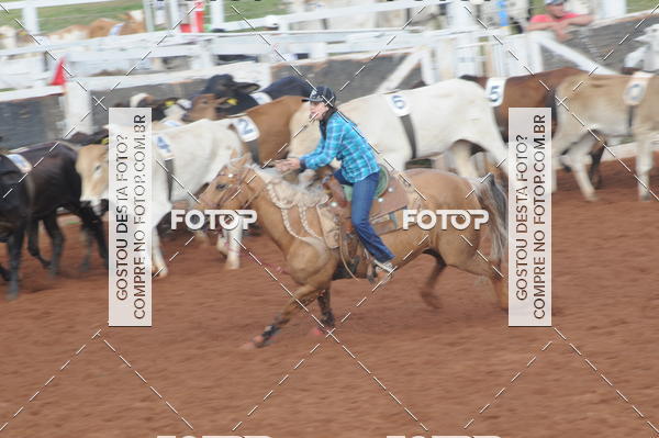 Buy your photos of the eventCAMPEONATO ACC TEAM PENNING SEGUNDA ETAPA on Fotop
