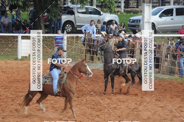 Buy your photos of the eventCAMPEONATO ACC TEAM PENNING SEGUNDA ETAPA on Fotop