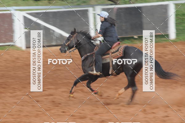 Buy your photos of the eventCAMPEONATO ACC TEAM PENNING SEGUNDA ETAPA on Fotop