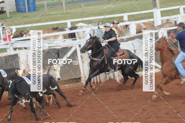 Buy your photos of the eventCAMPEONATO ACC TEAM PENNING SEGUNDA ETAPA on Fotop
