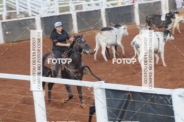 Buy your photos of the eventCAMPEONATO ACC TEAM PENNING SEGUNDA ETAPA on Fotop