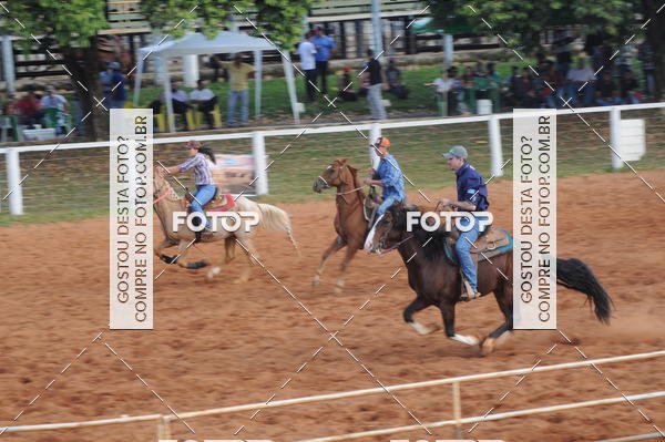 Buy your photos of the eventCAMPEONATO ACC TEAM PENNING SEGUNDA ETAPA on Fotop