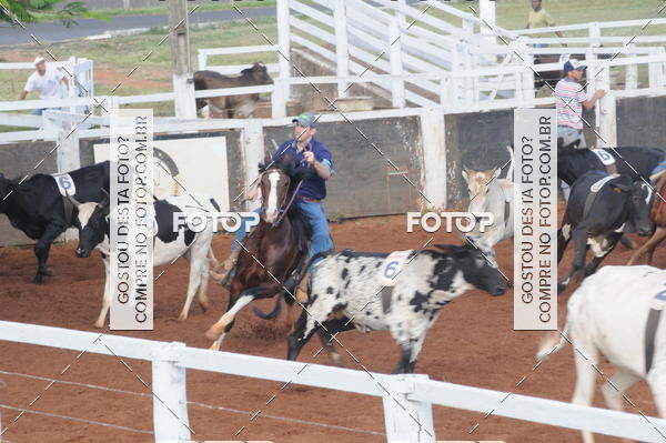 Buy your photos of the eventCAMPEONATO ACC TEAM PENNING SEGUNDA ETAPA on Fotop