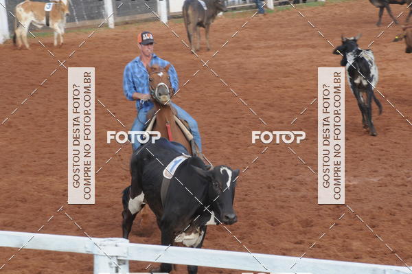Buy your photos of the eventCAMPEONATO ACC TEAM PENNING SEGUNDA ETAPA on Fotop