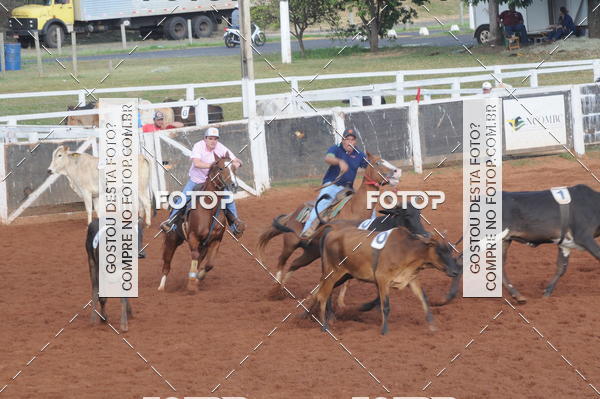 Buy your photos of the eventCAMPEONATO ACC TEAM PENNING SEGUNDA ETAPA on Fotop