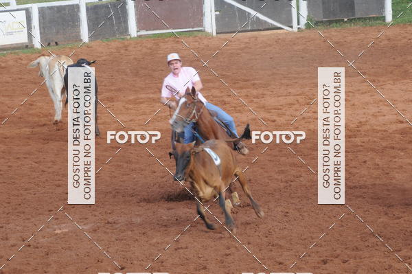 Buy your photos of the eventCAMPEONATO ACC TEAM PENNING SEGUNDA ETAPA on Fotop