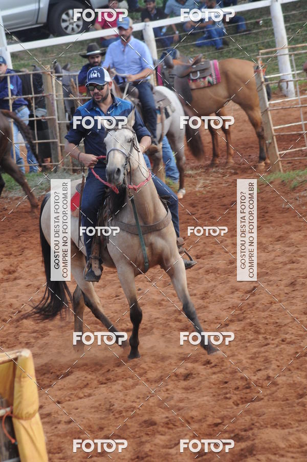 Buy your photos of the eventCAMPEONATO ACC TEAM PENNING SEGUNDA ETAPA on Fotop