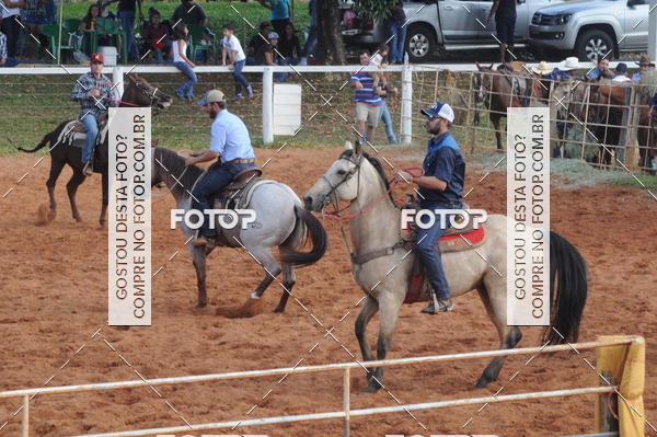 Buy your photos of the eventCAMPEONATO ACC TEAM PENNING SEGUNDA ETAPA on Fotop