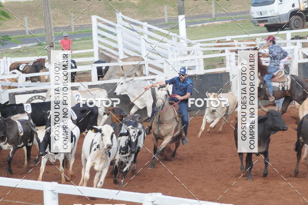 Buy your photos of the eventCAMPEONATO ACC TEAM PENNING SEGUNDA ETAPA on Fotop