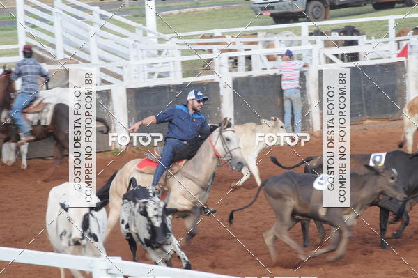 Buy your photos of the eventCAMPEONATO ACC TEAM PENNING SEGUNDA ETAPA on Fotop