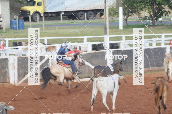 Buy your photos of the eventCAMPEONATO ACC TEAM PENNING SEGUNDA ETAPA on Fotop