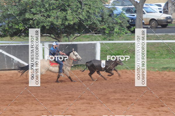 Buy your photos of the eventCAMPEONATO ACC TEAM PENNING SEGUNDA ETAPA on Fotop