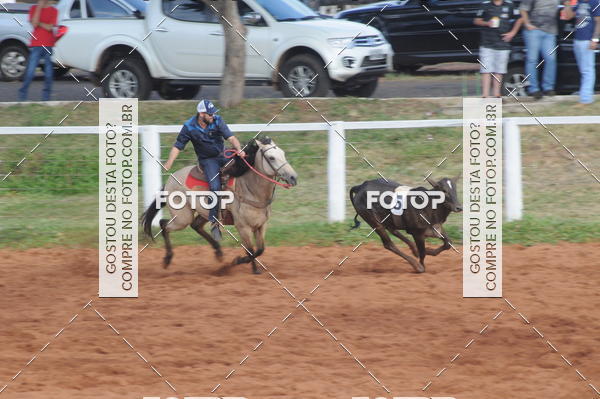 Buy your photos of the eventCAMPEONATO ACC TEAM PENNING SEGUNDA ETAPA on Fotop
