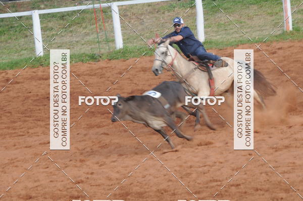 Buy your photos of the eventCAMPEONATO ACC TEAM PENNING SEGUNDA ETAPA on Fotop