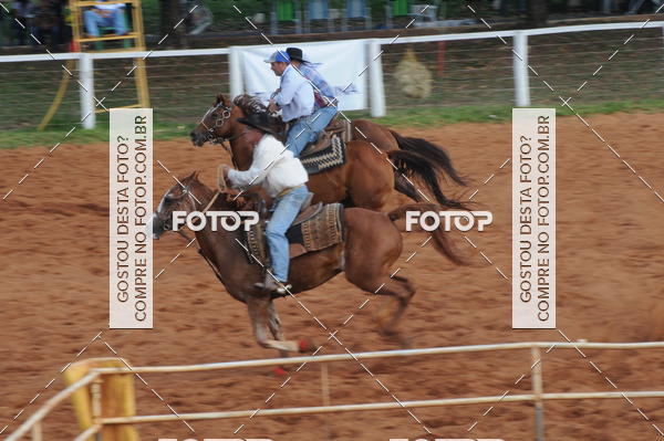 Buy your photos of the eventCAMPEONATO ACC TEAM PENNING SEGUNDA ETAPA on Fotop
