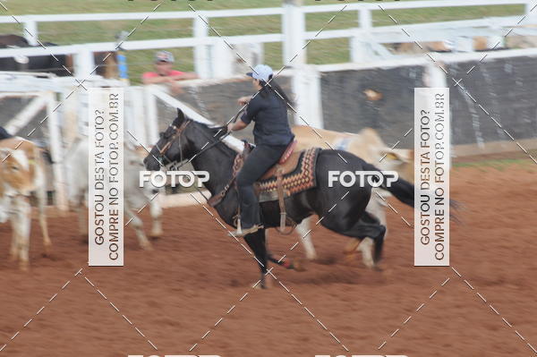 Buy your photos of the eventCAMPEONATO ACC TEAM PENNING SEGUNDA ETAPA on Fotop