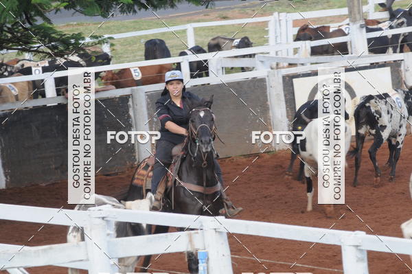 Buy your photos of the eventCAMPEONATO ACC TEAM PENNING SEGUNDA ETAPA on Fotop