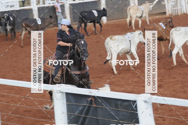 Buy your photos of the eventCAMPEONATO ACC TEAM PENNING SEGUNDA ETAPA on Fotop