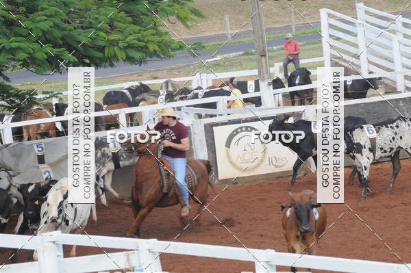 Buy your photos of the eventCAMPEONATO ACC TEAM PENNING SEGUNDA ETAPA on Fotop