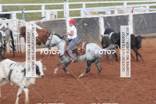 Buy your photos of the eventCAMPEONATO ACC TEAM PENNING SEGUNDA ETAPA on Fotop