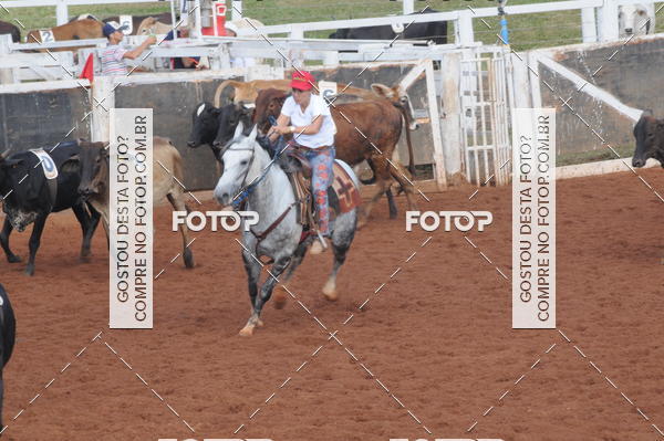 Buy your photos of the eventCAMPEONATO ACC TEAM PENNING SEGUNDA ETAPA on Fotop