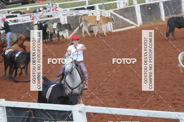 Buy your photos of the eventCAMPEONATO ACC TEAM PENNING SEGUNDA ETAPA on Fotop