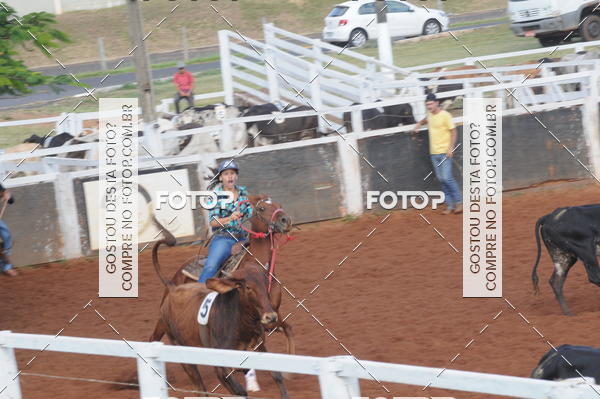 Buy your photos of the eventCAMPEONATO ACC TEAM PENNING SEGUNDA ETAPA on Fotop