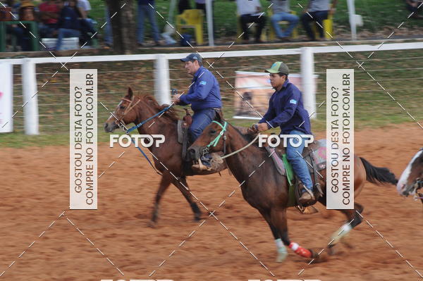 Buy your photos of the eventCAMPEONATO ACC TEAM PENNING SEGUNDA ETAPA on Fotop