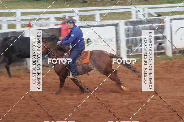 Buy your photos of the eventCAMPEONATO ACC TEAM PENNING SEGUNDA ETAPA on Fotop