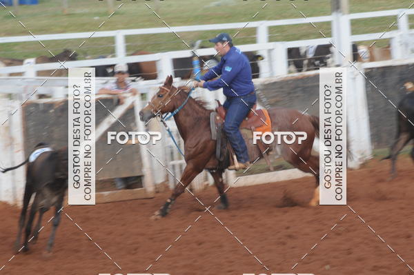 Buy your photos of the eventCAMPEONATO ACC TEAM PENNING SEGUNDA ETAPA on Fotop