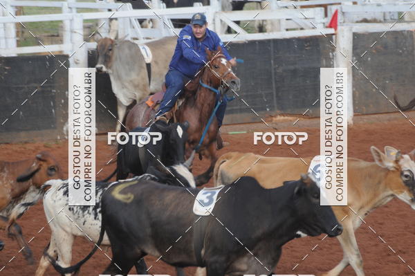 Buy your photos of the eventCAMPEONATO ACC TEAM PENNING SEGUNDA ETAPA on Fotop