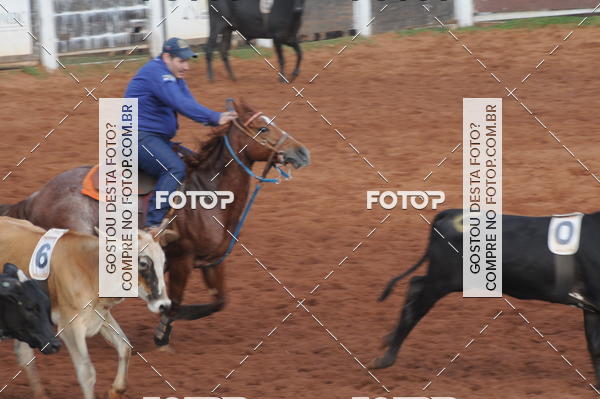 Buy your photos of the eventCAMPEONATO ACC TEAM PENNING SEGUNDA ETAPA on Fotop