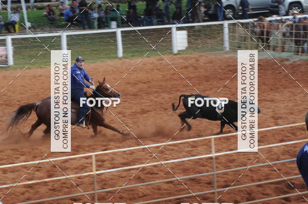 Buy your photos of the eventCAMPEONATO ACC TEAM PENNING SEGUNDA ETAPA on Fotop