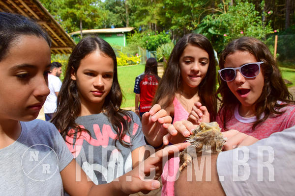 Buy your photos of the eventNR1 - English & Action 11 a 13/04/18 on Fotop