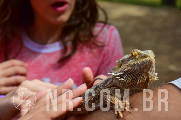 Buy your photos of the eventNR1 - English & Action 11 a 13/04/18 on Fotop