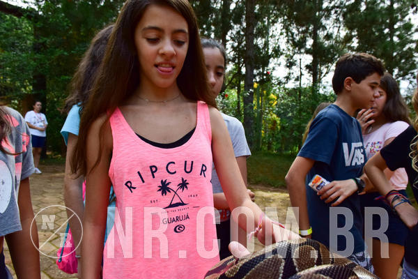 Buy your photos of the eventNR1 - English & Action 11 a 13/04/18 on Fotop