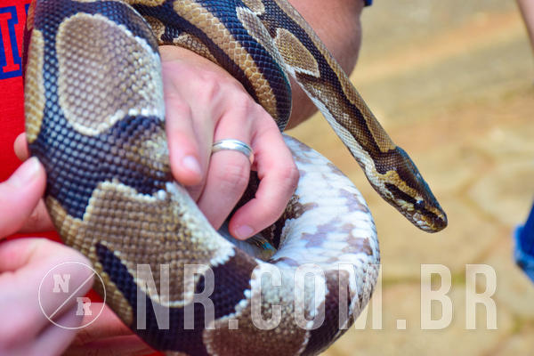 Buy your photos of the eventNR1 - English & Action 11 a 13/04/18 on Fotop