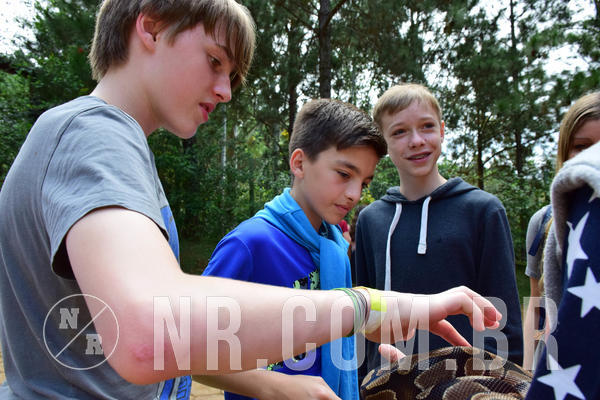 Buy your photos of the eventNR1 - English & Action 11 a 13/04/18 on Fotop