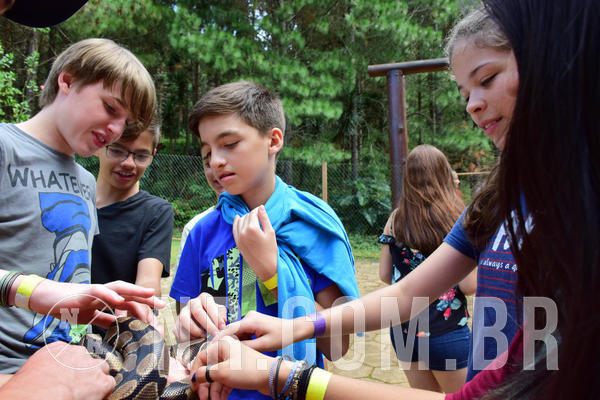 Buy your photos of the eventNR1 - English & Action 11 a 13/04/18 on Fotop