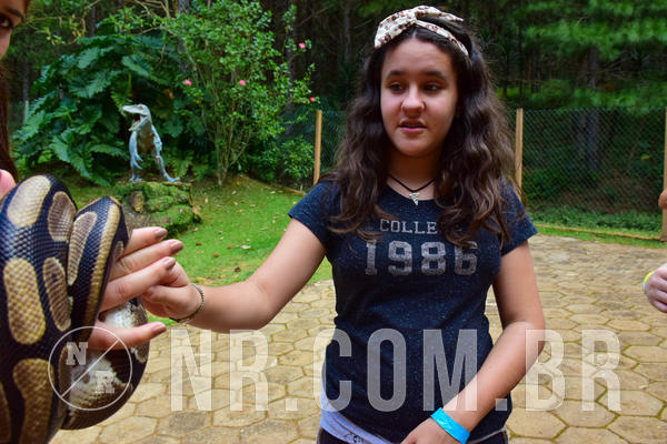 Buy your photos of the eventNR1 - English & Action 11 a 13/04/18 on Fotop